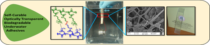 ThioAdhesive TOC